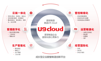 軟件產(chǎn)品的互聯(lián)網(wǎng)銷(xiāo)售 策略、優(yōu)勢(shì)與挑戰(zhàn)